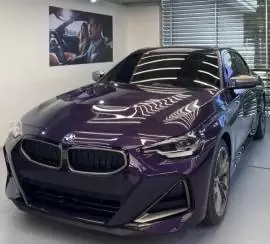 BMW, 2 Series, 2022, 2000 km