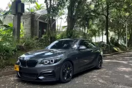 BMW, 2 Series, 2019, 33000 km