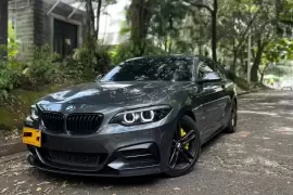 BMW, 2 Series, 2019, 33000 km