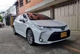 Toyota , Corolla, 2023, 60 km